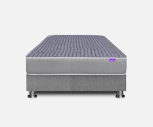 Cama Kauus Gray Cama Kauus Gray